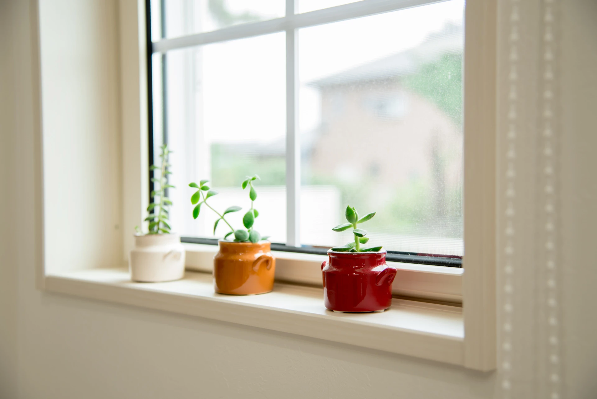 AdobeStock_194400440